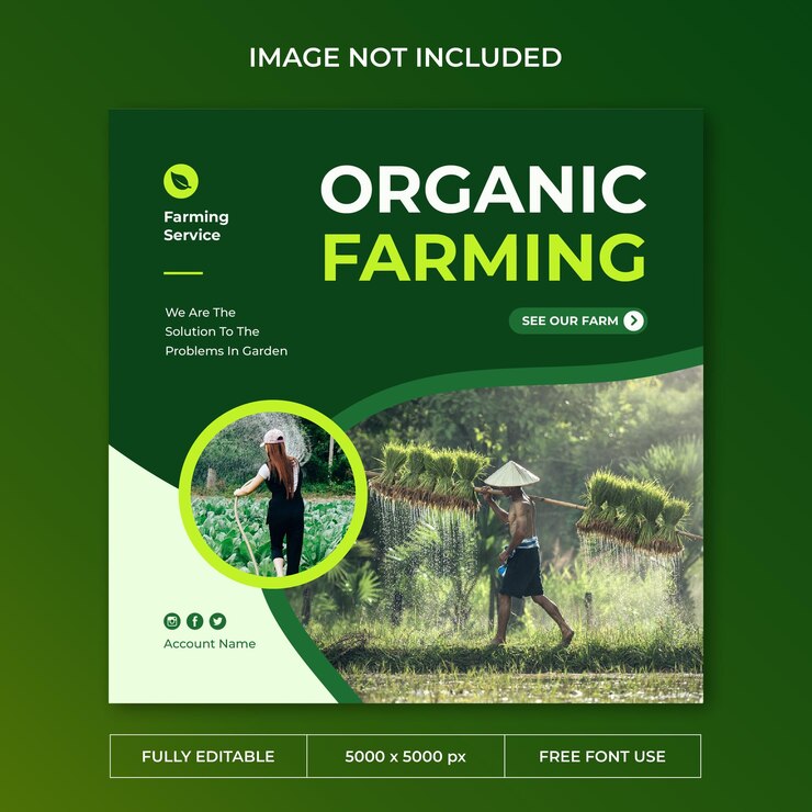 Modèle de post social sur Instagram pour l'agriculture
