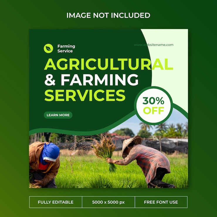 Modèle de post social sur Instagram pour l'agriculture