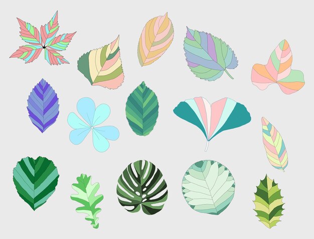 Modèle PSD de collection d'éléments de feuilles colorées Couleurs modifiables