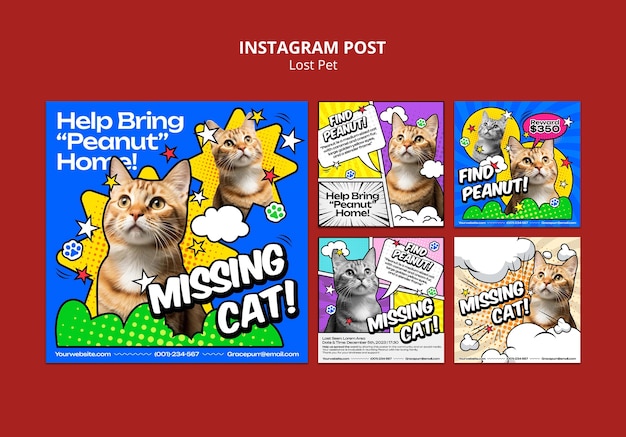 modèle de publication d'instagram pour animaux de compagnie perdus