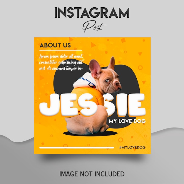 PSD modèle de publication instagram