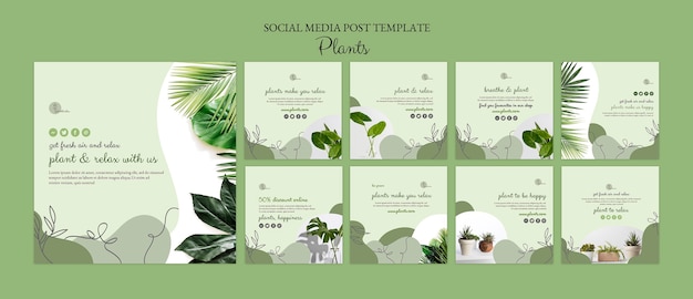 PSD modèle de publication sur les réseaux sociaux de plantes