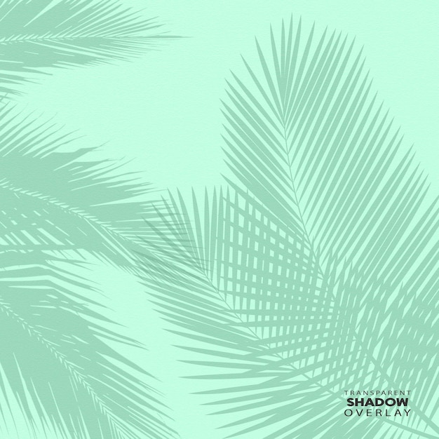 Modèle de superposition d'ombre de feuille de plante transparente