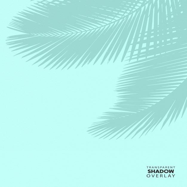 Modèle de superposition d'ombre de feuille de plante transparente