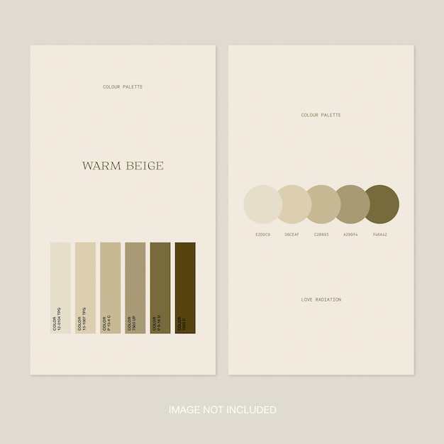 Modèles et citations d'histoires Instagram minimales avec palette de couleurs PSD