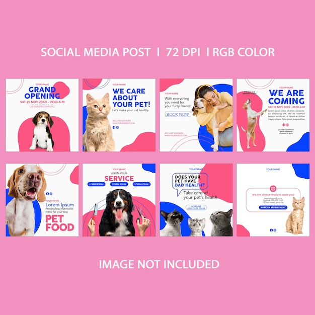 Modèles de publication sur les réseaux sociaux pour animaleries
