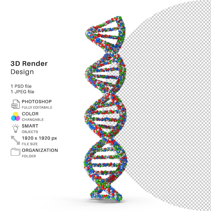 PSD modélisation 3d d'adn fichier psd adn réaliste