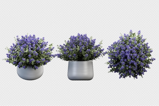 Modell von 3d gerenderten Pflanzen im Topf