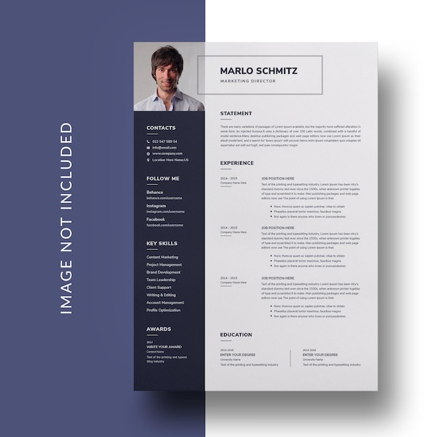 Modello curriculum vitae professionale