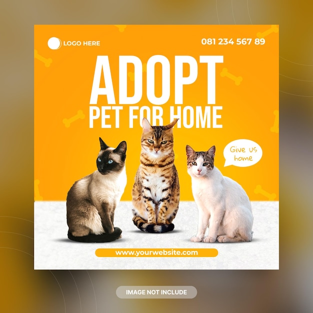 Modello di banner per post sui social media di Pet Shop Cat