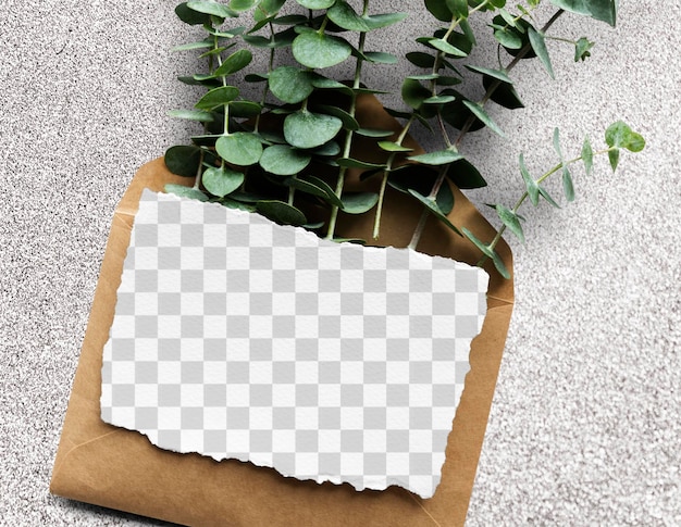 Modello di carta png su busta con foglie
