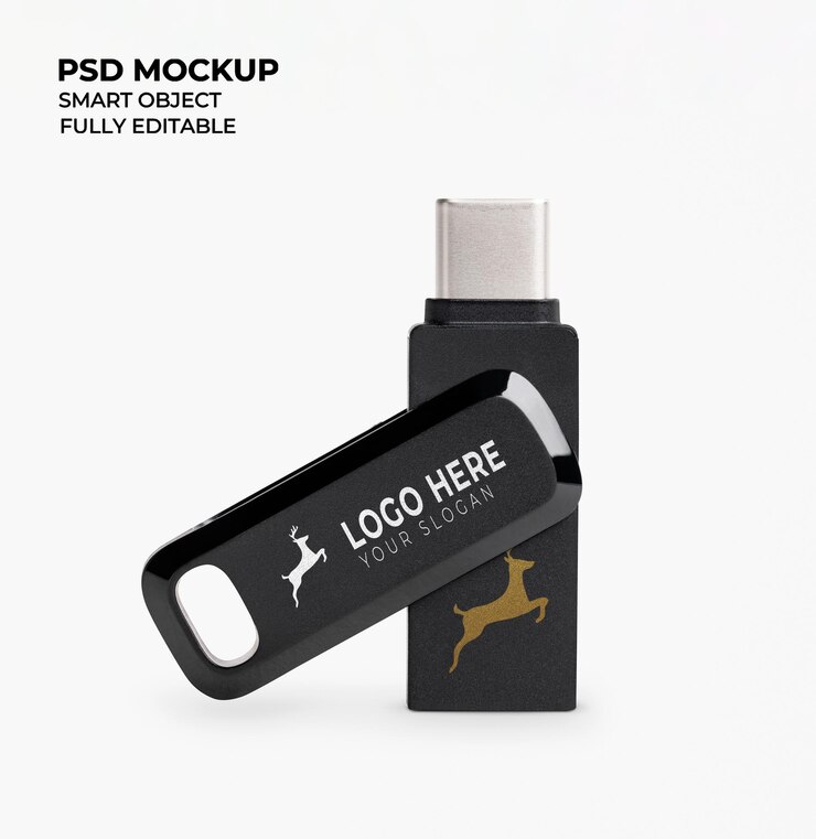 Modello di flash USB