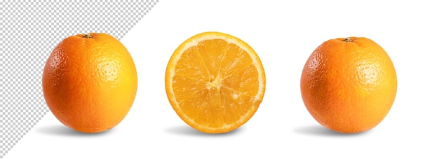 Modello di frutta arancione
