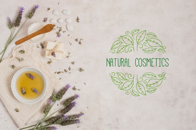 Modello di logo di cosmetici naturali