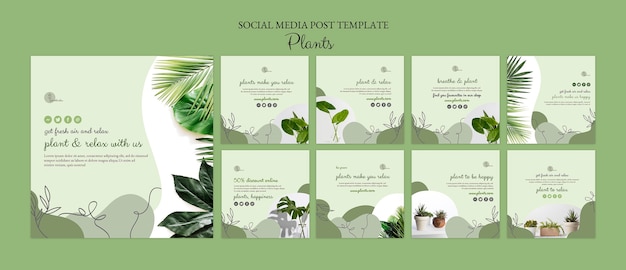 Modello di post sui social media di piante
