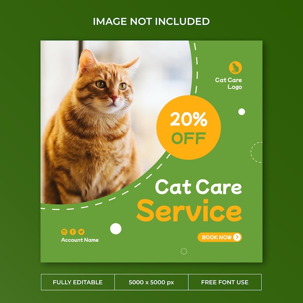 Modello di social media post instagram per la cura del gatto