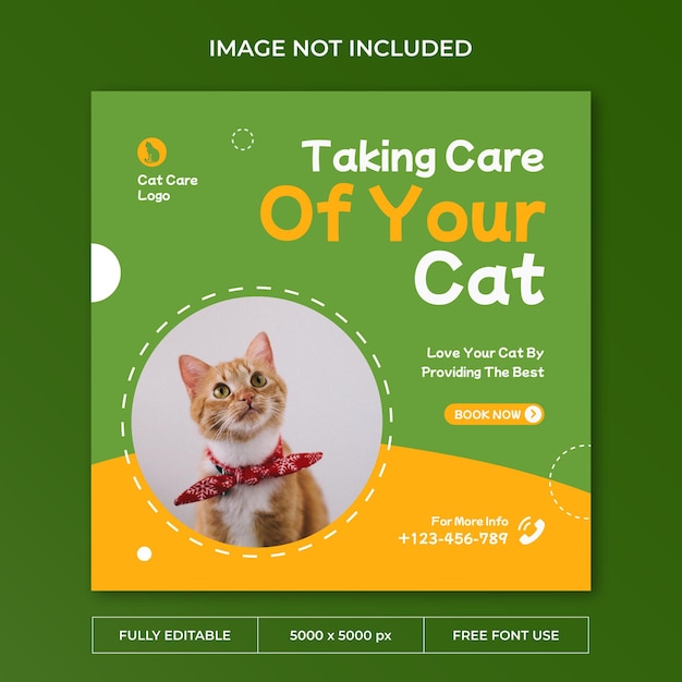 Modello di social media post instagram per la cura del gatto