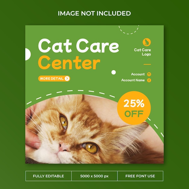 Modello di social media post instagram per la cura del gatto