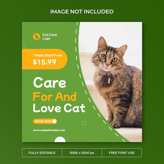 Modello di social media post instagram per la cura del gatto