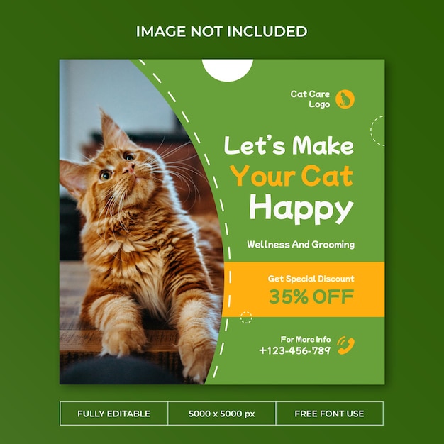 Modello di social media post instagram per la cura del gatto