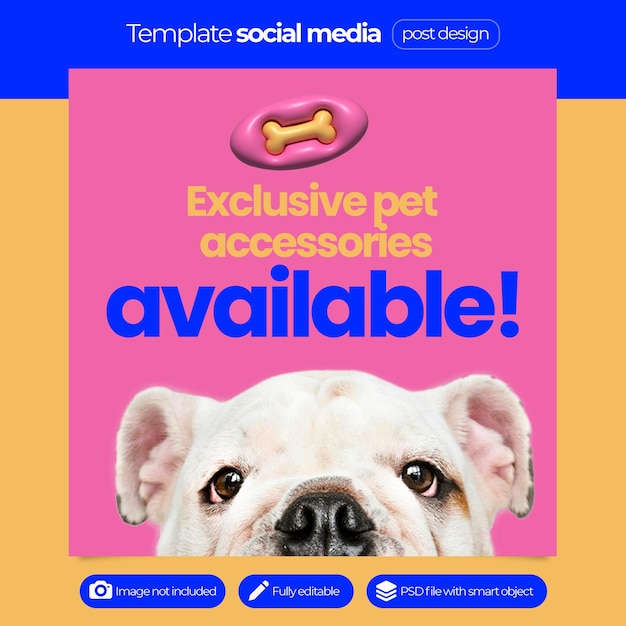 Modello di social media PSD per il negozio di animali domestici