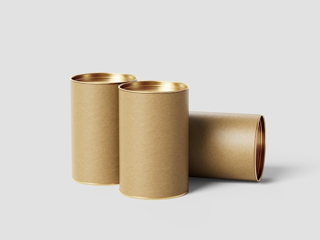 Modello di tubo di cartone premium