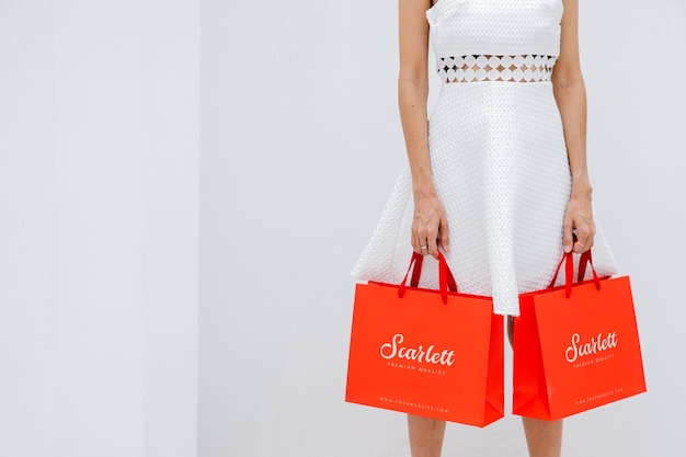 Modello elegante della borsa della spesa