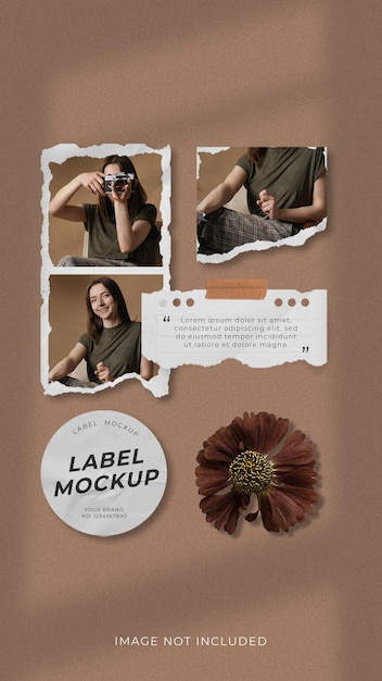 Modello Mockup Mood Board per la storia di Instagram