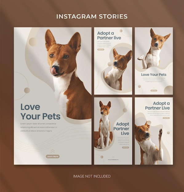 Modello per la cura degli animali domestici per storie di Instagram