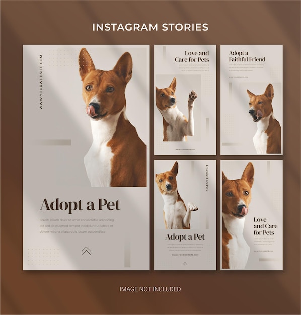 Modello per la cura degli animali domestici per storie di Instagram