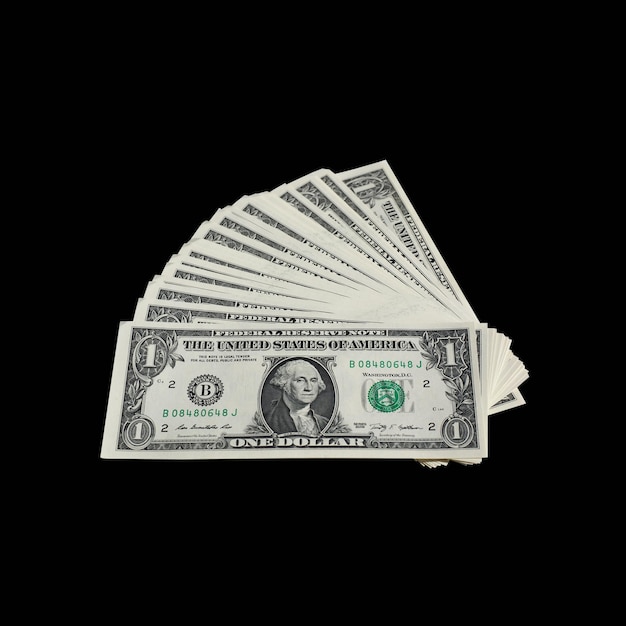 Modello PNG gratuito in dollari