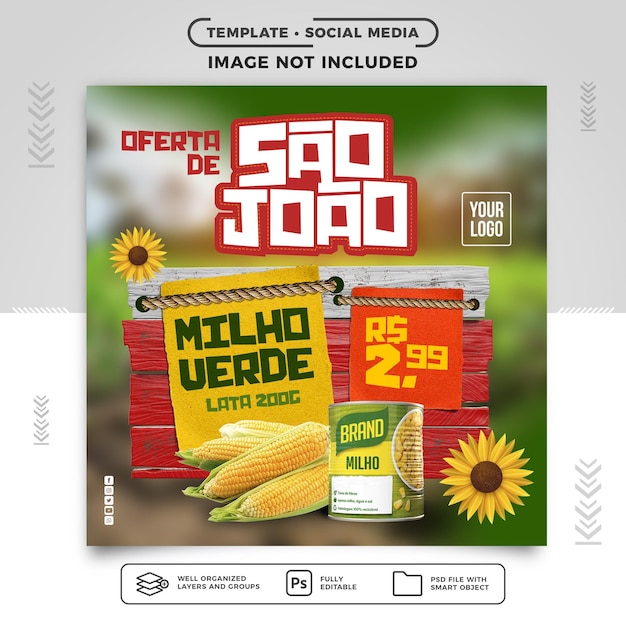 Modello Social media feed festa junina offre da sao joao