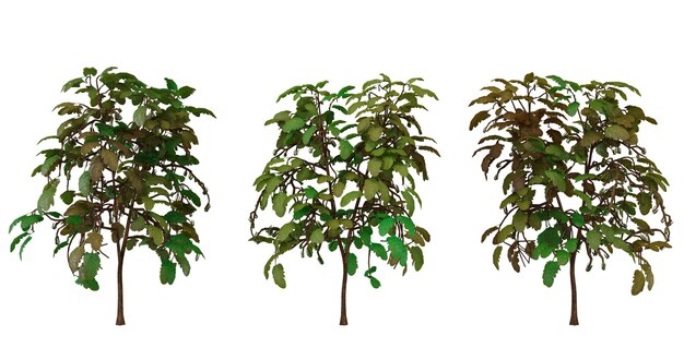 Modelo 3D de arbusto verde con variaciones de color