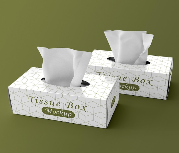 Modelo de caja de pañuelo doble elegante de PSD