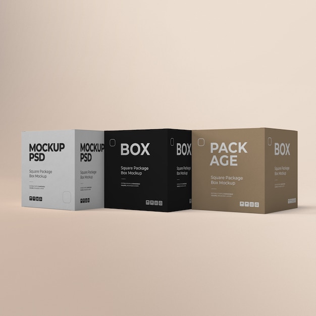 Modelo de caja