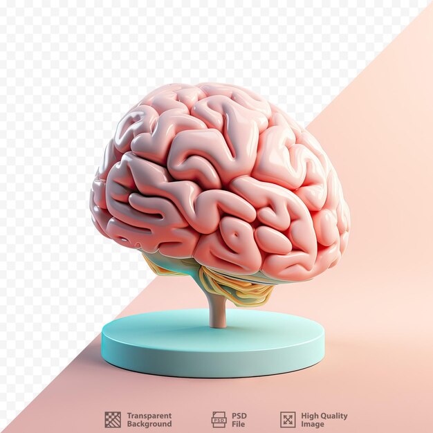 Un modelo de cerebro con un fondo rosa y un diagrama de un cerebro.