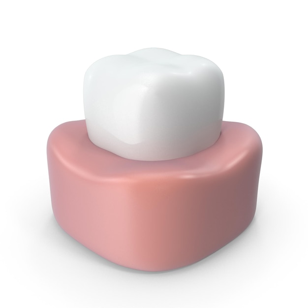 Modelo de corona dental y encía