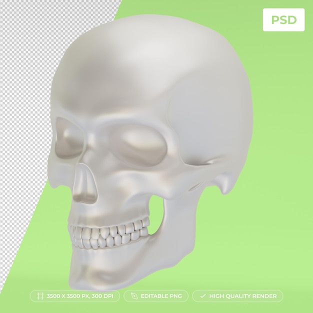 Un modelo de un cráneo realista en un fondo transparente psd