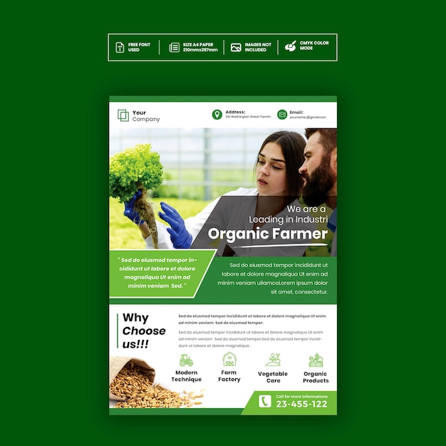 Modelo de Cartaz de Folheto de Mercado de Produtores