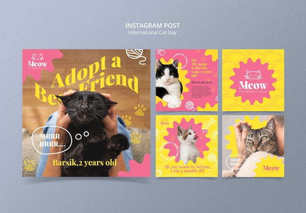 Modelo de celebração do Dia Internacional do Gato