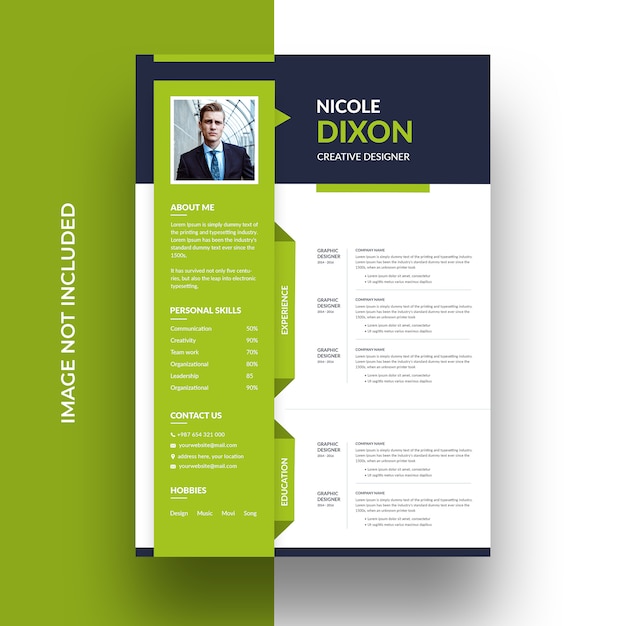 Modelo de cv profissional limpo