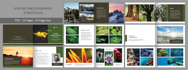 Modelo de design de brochura de portfólio de fotografia da natureza