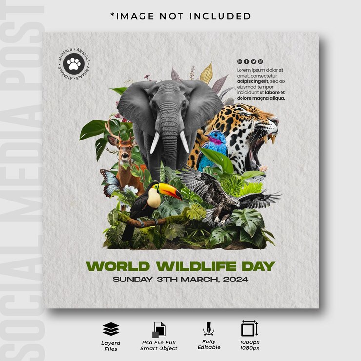 PSD modelo de design de postagem do instagram do dia mundial da vida selvagem