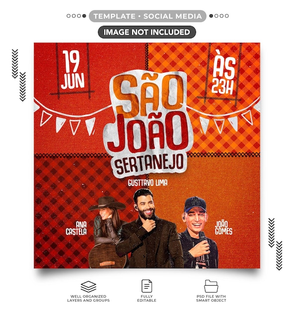 Modelo de feed de mídia social são joão sertanejo