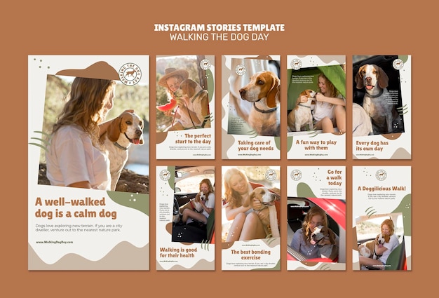 PSD modelo de histórias do instagram para passear com o cachorro