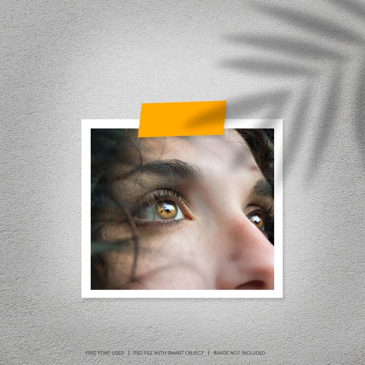 Modelo de Maquete Polaroid
