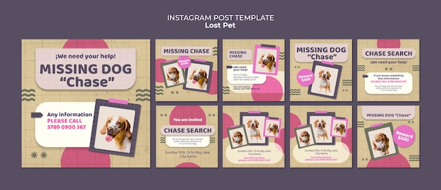 Modelo de postagens do Instagram de animais de estimação perdidos