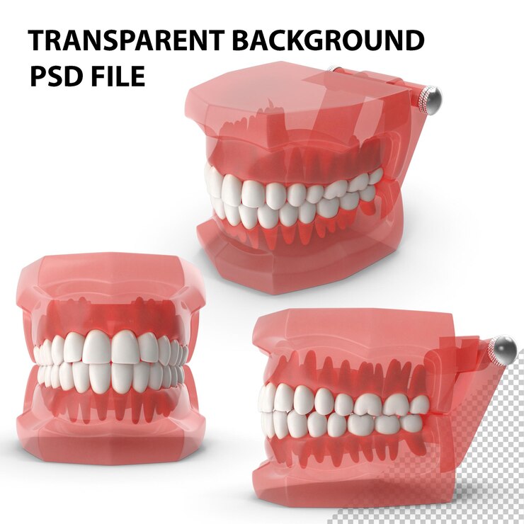 PSD modelo de dientes tipodonto png