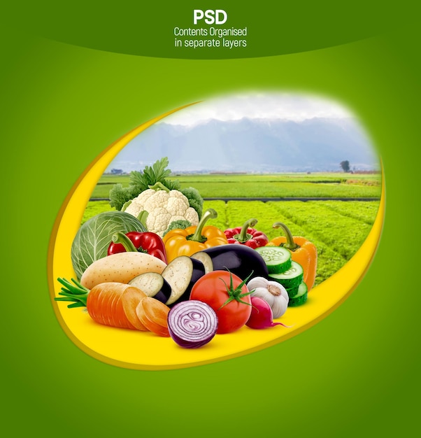 Modelo de diseño de envases de verduras mixtas