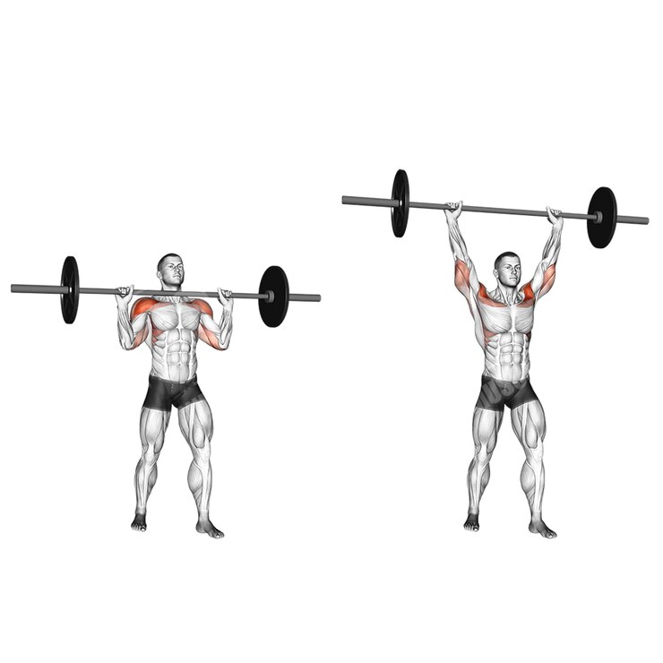 PSD modelo de fitness para el culturismo